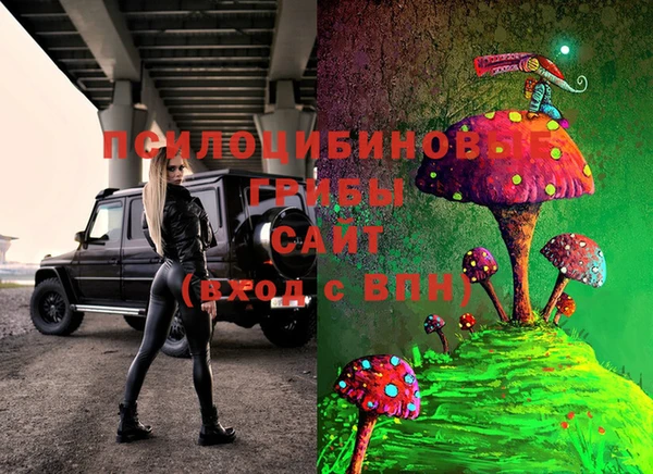 прущие крисы Болохово