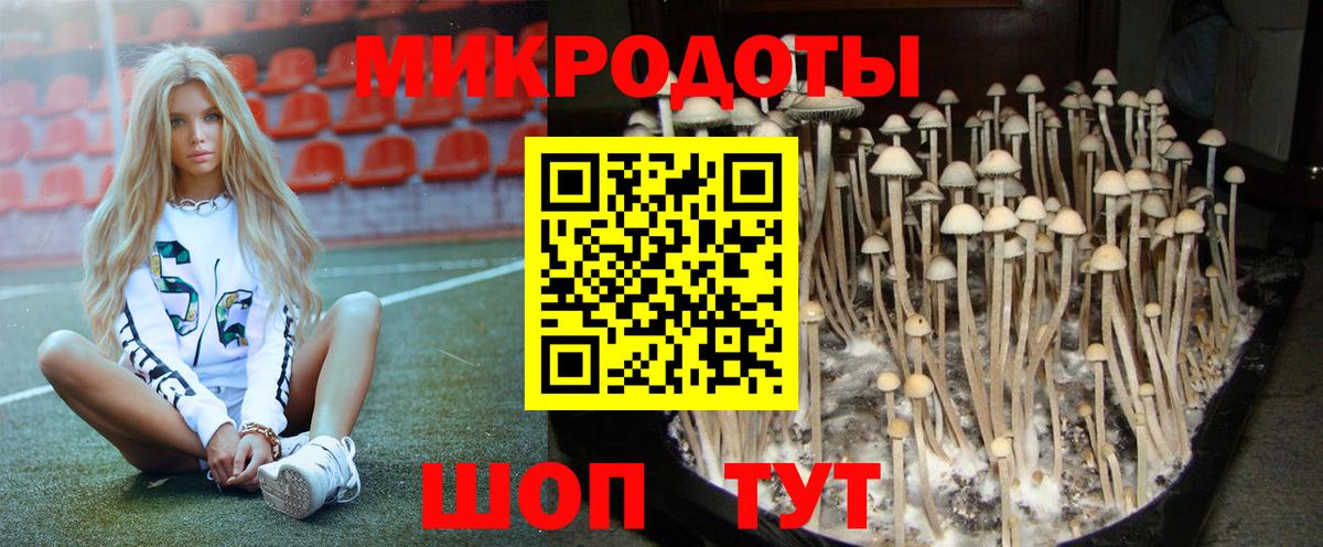 Галлюциногенные грибы мухоморы Нарткала