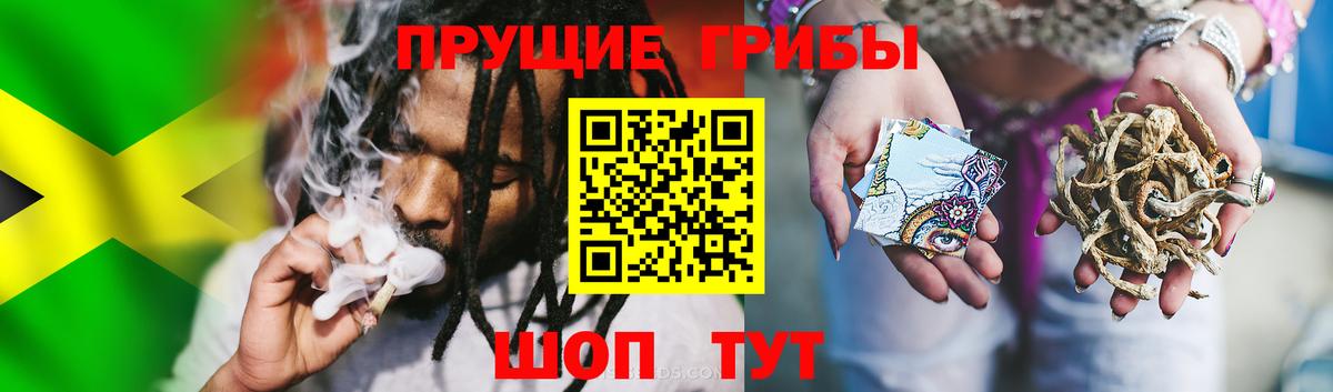 Нарткала  Галлюциногенные грибы ЛСД  Вход с VPN 